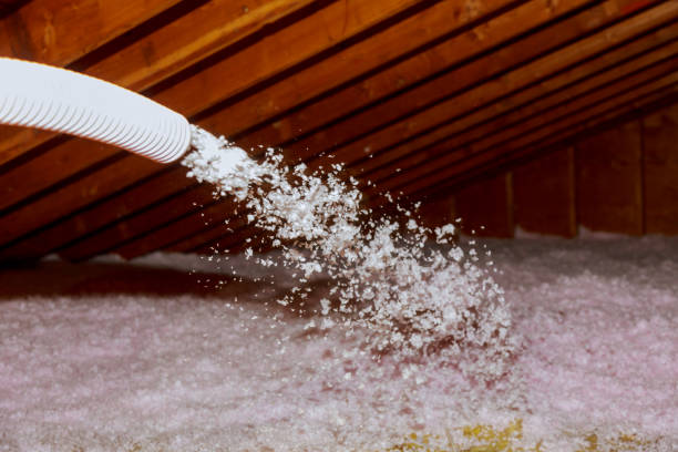 Best Commercial Insulation Contractor  in Coalfield, TN