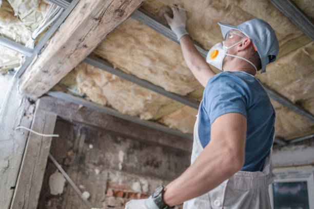 Best Home Insulation Services  in Coalfield, TN