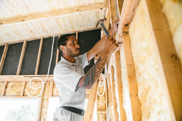 Best Wall Insulation Contractor  in Coalfield, TN
